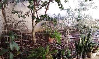 Imagem 5: CONTAGEM - Casa Padrão - Três Barras