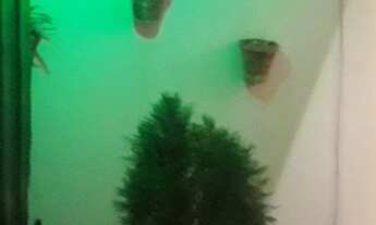 Imagem 3: Excelente oportunidade