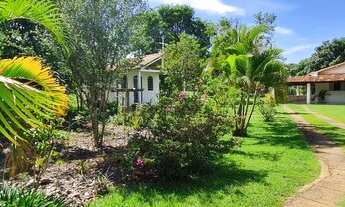 Imagem: Rodeador brazlandia 700m do asfalto chácara