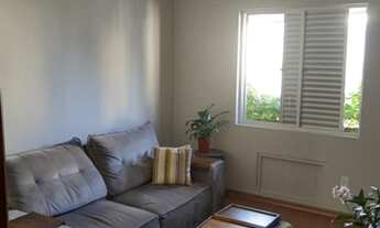 Imagem 4: FLORIANóPOLIS - Padrão - Coqueiros