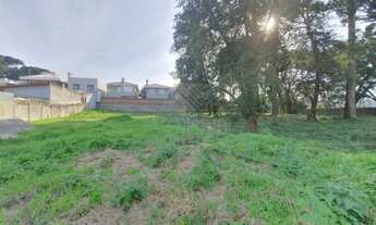 Imagem 7: Terreno Amplo Ótimo Para Condomínio De Sobrados ou Apartamentos, à venda 2750M² Estuda Per