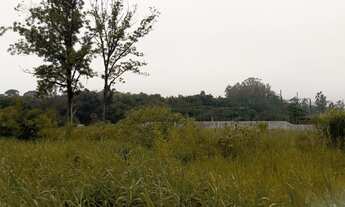 Imagem 5: Área Plana para Galpões ou Posto de Gasolina- 3.461M²