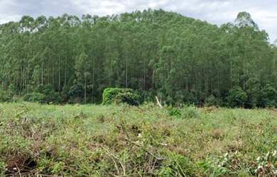 Imagem 7: Lote/Terreno para venda possui 500 metros quadrados em Santa Isabel - Domingos Martins - E