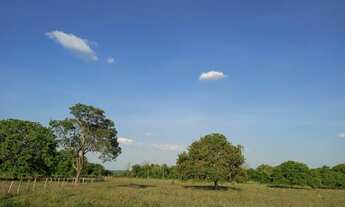 Imagem: Fazenda próximo à Santa Rita do tocantins