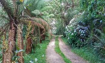 Imagem 3: CHACARA NA REPRESA DO VOSSOROCA EM TIJUCAS DO SUL- PR