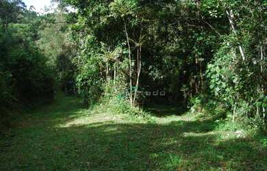 Imagem 4: Sítio à venda, 20000 m² por R$ 250.000,00 - Freguesia da Escada - Guararema/SP