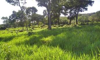 Imagem 4: Fazenda no município de recursolandia