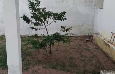 Imagem 5: Vendo ou alugo casa parque dos Coqueiros