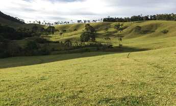 Imagem 7: FAZENDA COM ÁREA DE 100 ALQUEIRES PARA CRIAÇÃO DE GADO EM MINAS!!