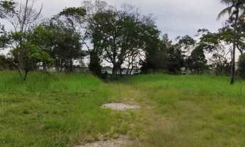 Imagem 5: Área para Venda em Rio de Janeiro, Guaratiba (Ilha da Guaratiba