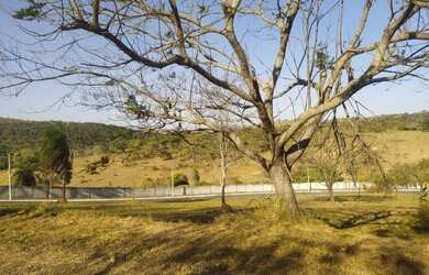 Imagem 2: Lote 38 quadra 10 no Canto da Siriema vip