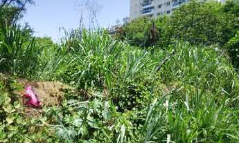 Imagem 3: TERRENO COM 1290M² NA AV. DAS AMÉRICAS