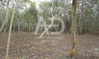 Imagem 3: Lagoa uruau Terreno / lote com venda por R$55.000