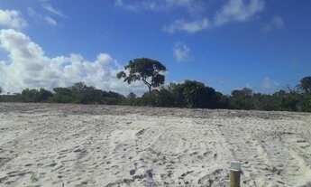 Imagem 4: Lote/Terreno para venda com 800 metros quadrados em Praia do Forte - Mata de São João - BA