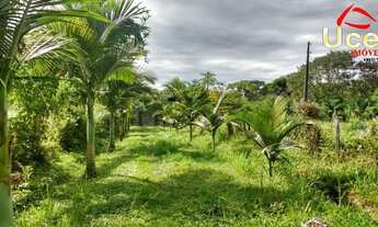 Imagem 7: V836- Excelente Sítio para venda em Sete Barras - Cod Imovel V836