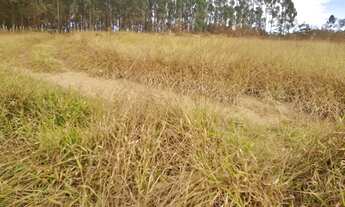 Imagem 3: Terreno 10 Hectares em Passa Tempo Fartura de Agua