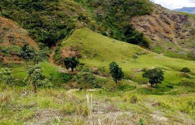 Imagem 5: Fazenda Central de Minas MG
