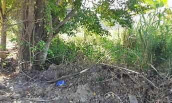 Imagem 3: Vendo Terreno Plano 20 X 23M² Canto do Rio Jesuitas