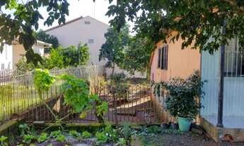 Imagem 2: DOIS IRMÃOS - Terreno Padrão - Industrial