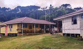 Imagem: Excelente Chácara