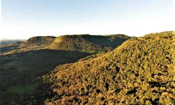 Imagem 7: GRAMADO - Padrão - Jardim Bela Vista