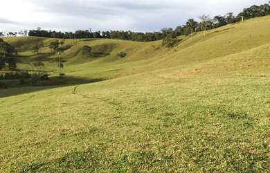 Imagem 6: FAZENDA COM ÁREA DE 100 ALQUEIRES PARA CRIAÇÃO DE GADO EM MINAS!!