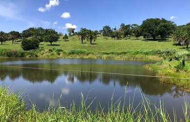 Imagem 3: Oportunidade! Vende-se uma bela fazenda de 18 Alqueires