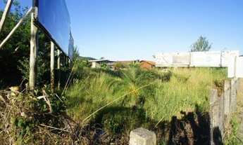 Imagem 7: FLORIANóPOLIS - Padrão - Costeira do Pirajubaé