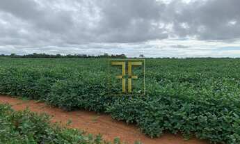 Imagem 4: Fazenda 495 Alqueires, Araguaçu, TO