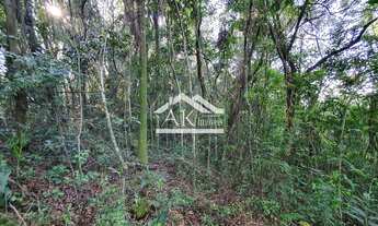 Imagem 4: Área de terras com vista em Morro Reuter na Serra Gaúcha