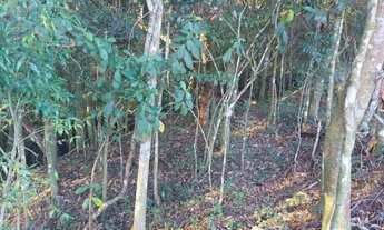 Imagem 7: PROMOÇÃO TERRENO DE 4.000MTS