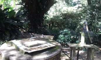 Imagem 4: Terreno com 5.700m², na Riviera Paulista, ótima topografia, luz, esgoto, coleta de lixo, i