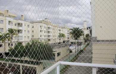 Imagem 4: PALHOçA - Padrão - Pagani