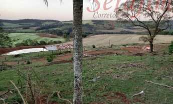 Imagem 6: Sítio 8 alq. com aprox. 7 alq. mec