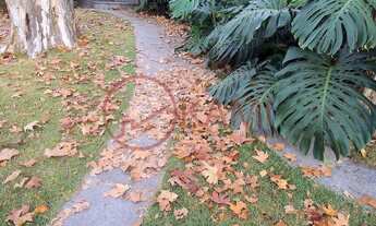 Imagem 5: Venda, Casa linda flora e fauna dão requinte espetacular, Alphaville