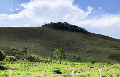 Imagem 4: Propriedade com superfície de 4 alqueires à 13 km do centro de Secretário - RJ