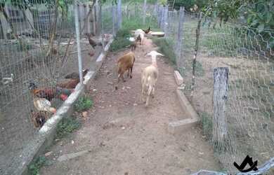 Imagem 3: Chácara a venda em Cocalzinho Condomínio Parque das Águas com area de lazer...