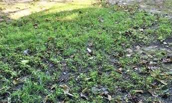 Imagem 5: Terreno em São Vicente