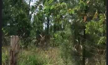 Imagem 2: Terreno enorme Chácara com venda por R$35.000