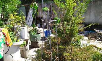 Imagem: BELO HORIZONTE - Terreno Padrão - Colégio