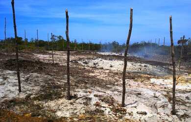 Imagem 7: Loteamento Lagoas da Praia do Forte, Mata de São João