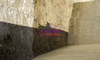 Imagem 5: EXCELENTE CASA Casa com 2 dormitórios