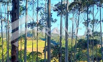 Imagem 6: Vende-se Propriedade com 816.000m² em Alto Jucu, Domingos Martins/E.S