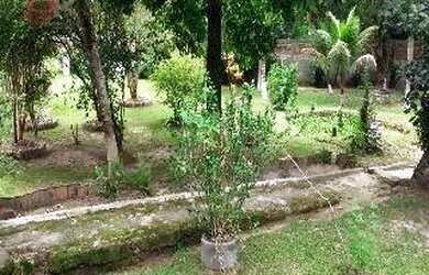 Imagem 4: Sítio - Vale Das Pedrinhas - Guapimirim/RJ