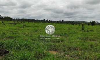 Imagem 3: Itapuã do Oeste - Sítio - 41 Alqueires