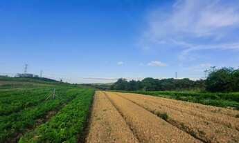 Imagem 12: O/26* Promoção !! só em Cotia-SP Terrenos 35.000 mil Venha agenda uma visita