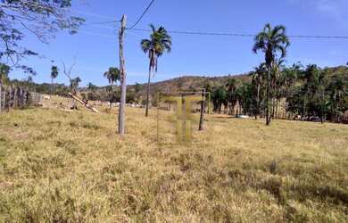 Imagem 6: Fazenda 80 Alqueires, Bom Jesus, GO