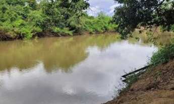 Imagem: Vendo chacara 2000m