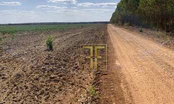 Imagem: Fazenda 5.570 Hectares, Balsas, MA