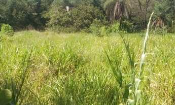 Imagem: Vendo Chácara no Lago Azul - Novo Gama